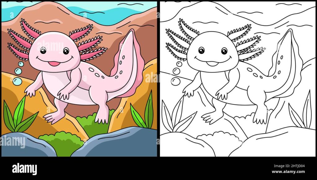 Axolotl Coloring Page