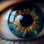 Omniscient Point of View